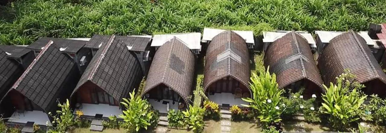 Morning Bali Bungalow Canggu Exterior foto