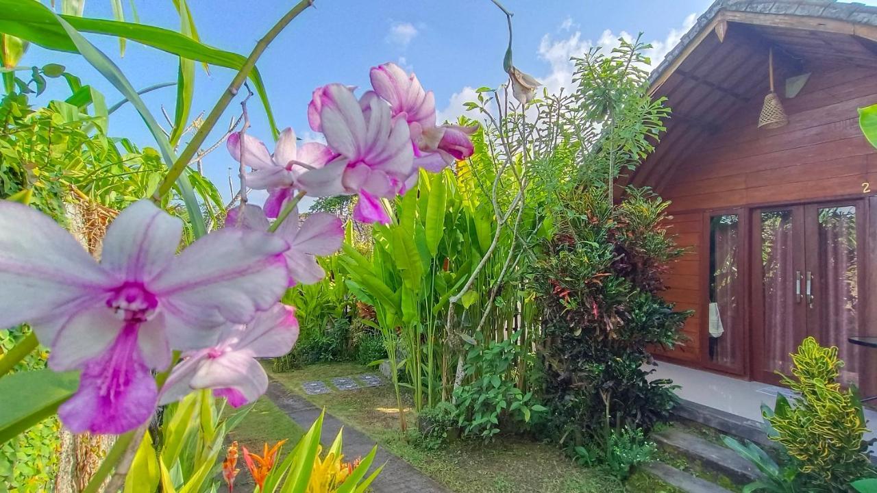 Morning Bali Bungalow Canggu Exterior foto